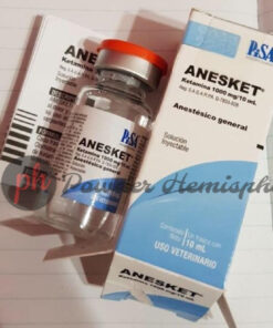 Order Anesket 1000mg/10ml