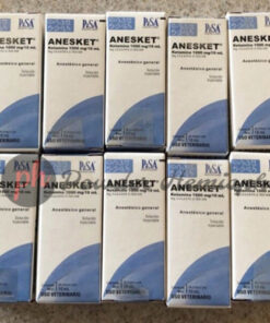 Order Anesket 1000mg/10ml