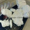 Buy Mexican Cocaine Online